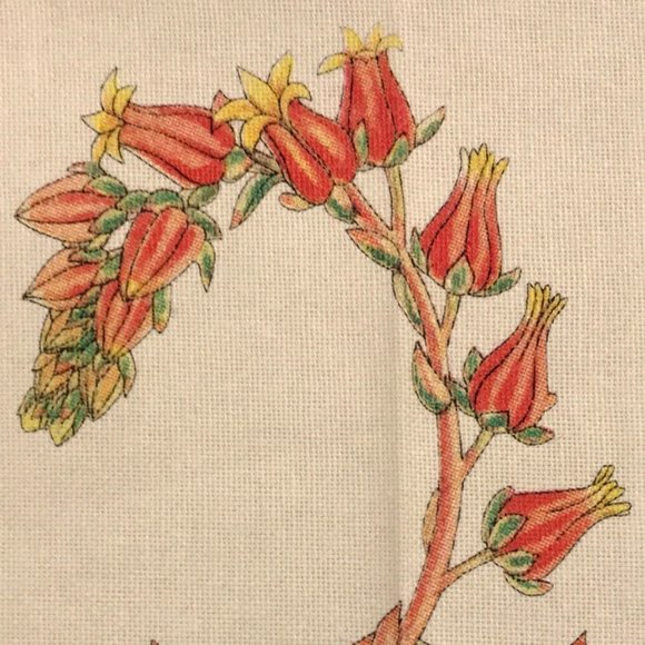 2019 calendar tea towel with cactus NWT - Picture 11 of 16